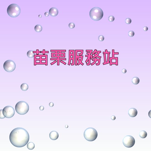 苗栗声宝服务站